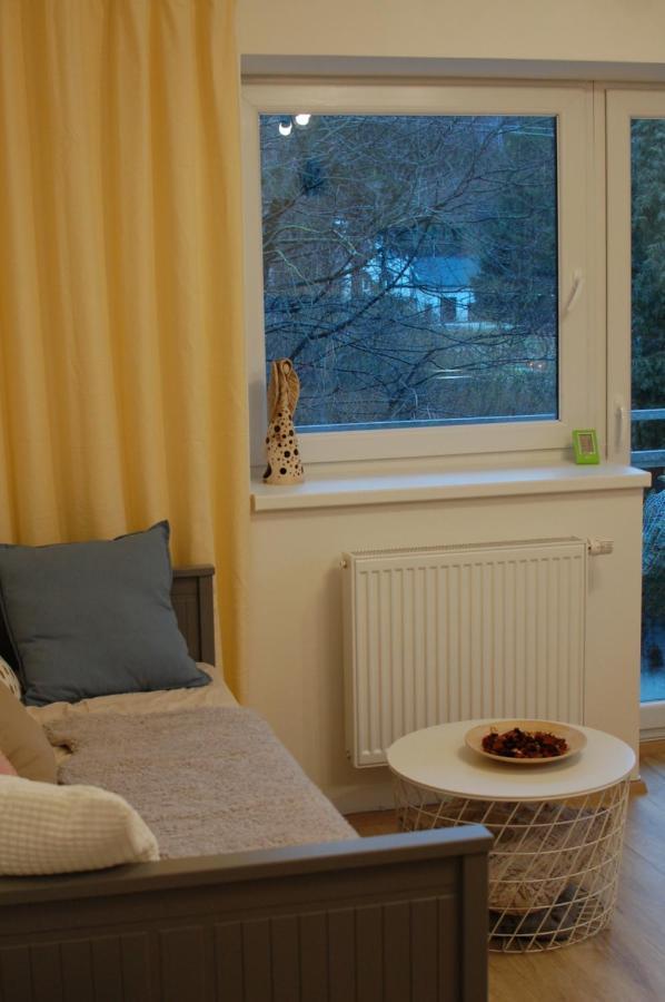 Apartman Masaryk Липова-Лазне Экстерьер фото